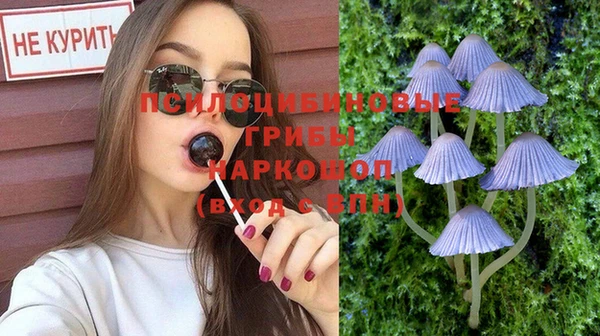 экстази Богородицк